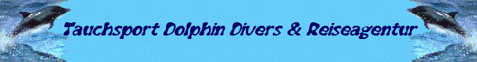 Tauchsport Dolphin Divers & Reiseagentur